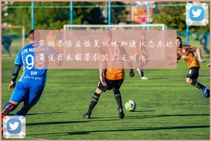 苏炳添伤后恢复训练加速状态未达最佳百米前景引发广泛讨论